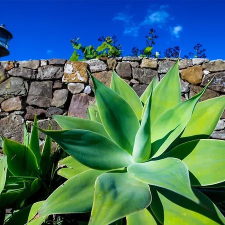 Pensjonat El Levante Tarifa